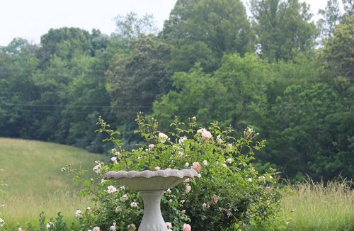 Madison House | The Honeysuckle Cottage in beautiful Madison VA