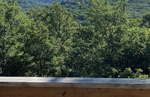 Cookson House | The Perfect Couples Retreat 2 miles from Snake Creek Marina at Lake Tenkiller!!
