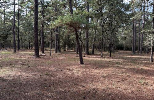 Circle D-KC Estates House | The Pine Tree Palace