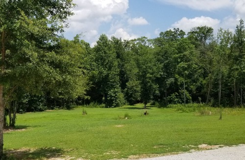 Phenix City House | Tiny Park Home, deck, grill, hammock, trailer parking, 14 miles to Ft Benning