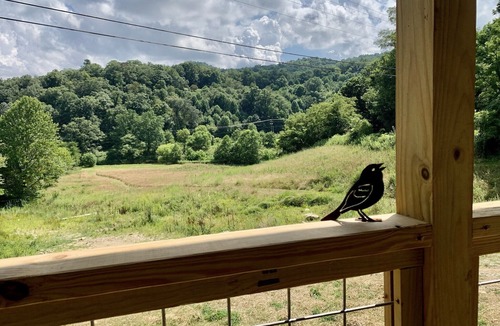 Sugar Grove Cabin | Trout Fish from your backyard! Hot Tub & 1 mi to VC Park!
