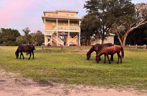 Carova Beach House | Wild Horses, Wilder Views: Stunning Carova Canal Front Home