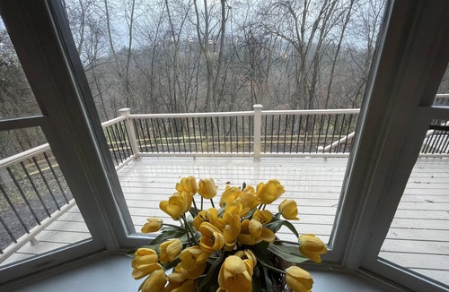 Spring Gap House | Woodland Oasis - Quick access to the Potomac River and the C&O Canal Tow Path!