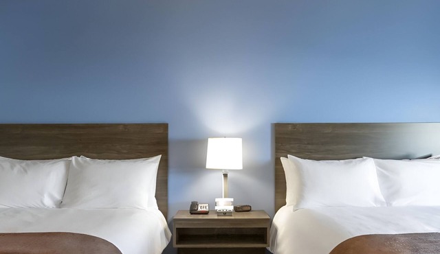 3 Efficient Rooms for Busy Travelers in Convenient Location - Pets Are Welcome!