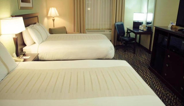 3 Pet- Friendly Rooms near Ruger Park | Minutes from Airport | Free Parking!