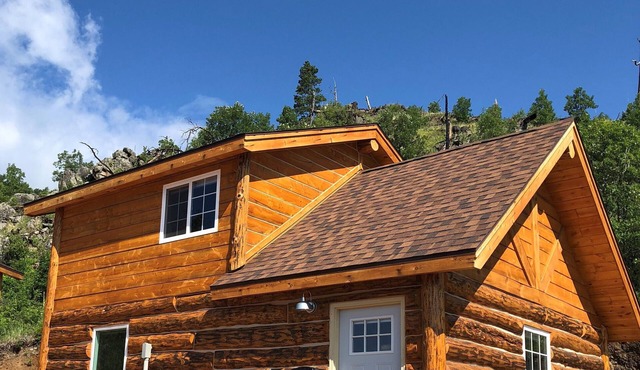 8 miles to Mount Rushmore - Sleeps 2 to 6