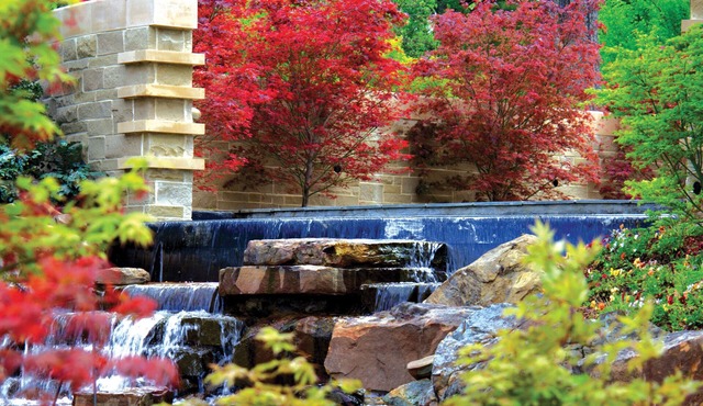 Affordability Meets Comfort! Comfortable 1BR Suite, Outdoor Pool, Pet-friendly!