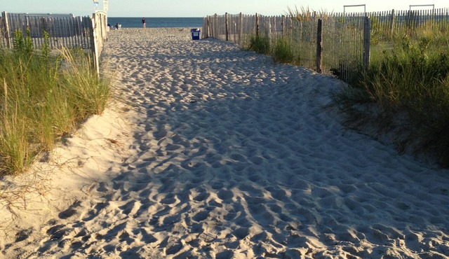 Alante Oceanfront Motel