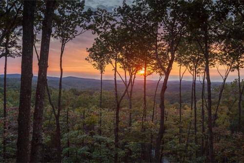 Amber Sunsets