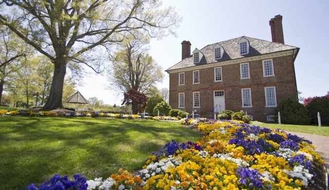 Best Resort/$ for Colonial Williamsburg and Busch Gardens