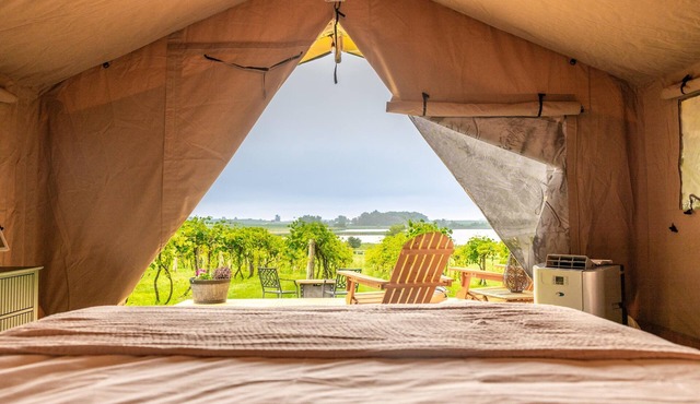 Boutique Vineyard Stay at Painted Prairie