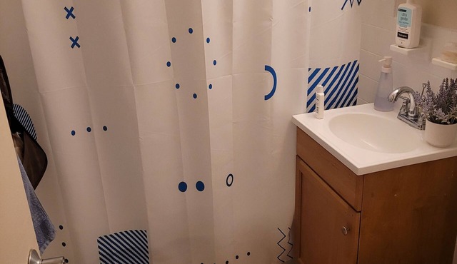 Charming 1-bedroom apartment with WiFi, AC in peaceful Takoma Park, Edge of DC