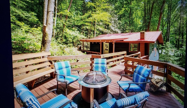 Charming 2-bedroom cabin with WiFi, AC in enchanting Blairsville