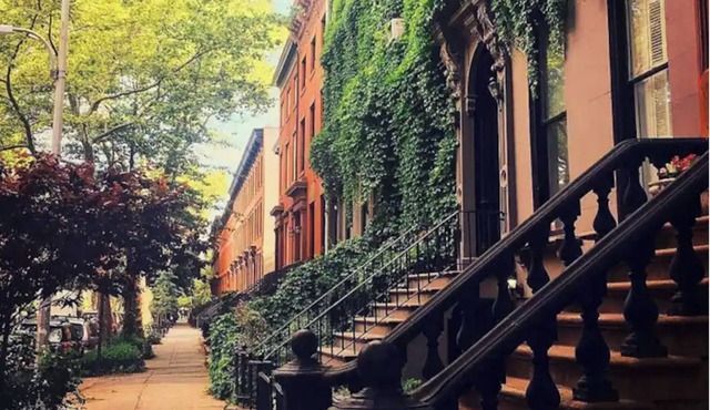 Clinton Hill’s Hidden gem (Student/professionals)