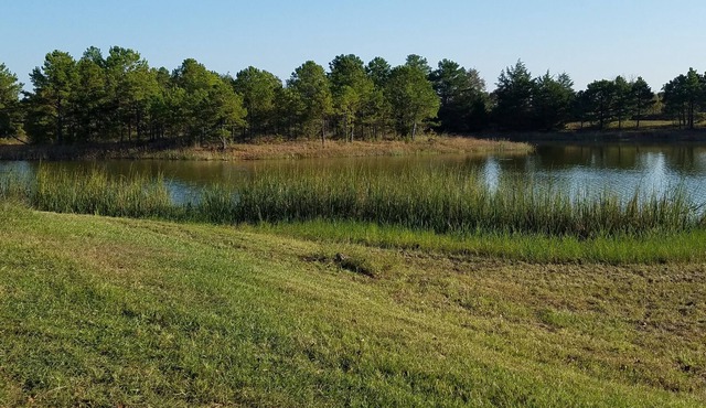 Cozy 2 rm pet friendly cabin- private lake - fishing & swimming - IndianCabin