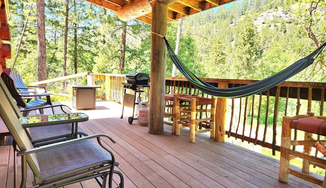 Cozy Cabin nestled in the Trees!
