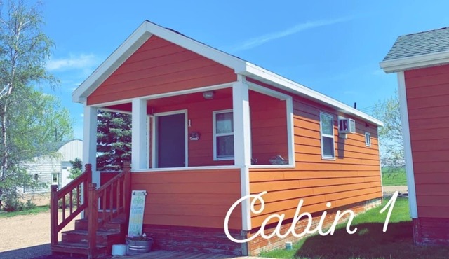Cozy cabin. Sleeps 5-7. Includes a kitchenette, Wi-Fi and an outdoor area!