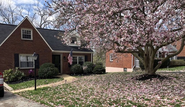 Cozy Cape Cod with easy commute to the city! in Pittsburgh