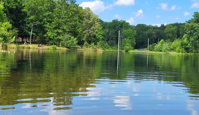 Cozy cottage on our private lake and 75 wooded acres.