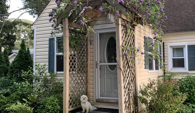Dog Friendly, Cozy Cottage, 1st Floor Apt for 2; A Fine Art and Garden Retreat!