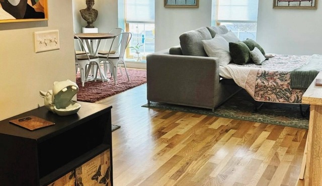 Eclectic Unique Cozy 1-bedroom apartment with WiFi, AC in charming La Crosse