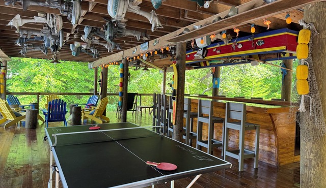 Family Fun! Diving Board/Water Slide/Boat Bar/Beach/Jump Platforms/Green Lights