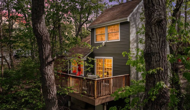 Forest cabin w/spacious deck