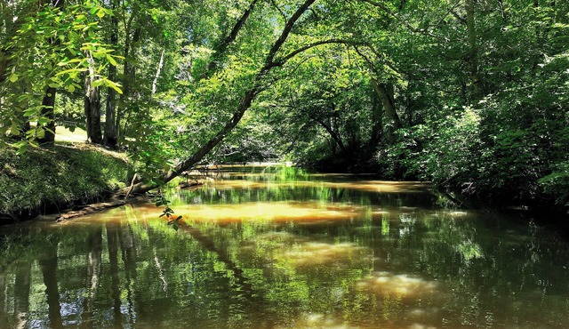 Georgia River & Stone Your Private MAJOR INTERNATIONAL SPORTING EVENT 2026 Basecamp retreat with Home Theater