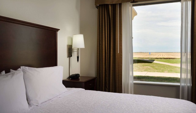 Hampton Inn Suites Altus