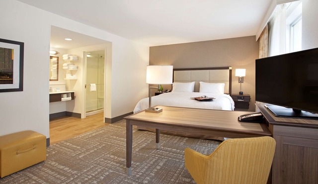Hampton Inn & Suites Minneapolis/Downtown