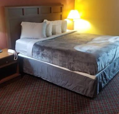 Hotel 2 Queen Beds Hotel Room 239 Booking