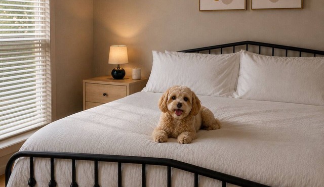 Long days deserve quiet nights. Just 4 minutes from Maxwell AFB and close to downtown, this pet-friendly cottage gives busy travelers a comfortable place to recharge, sleep well, and wake ready for tomorrow.