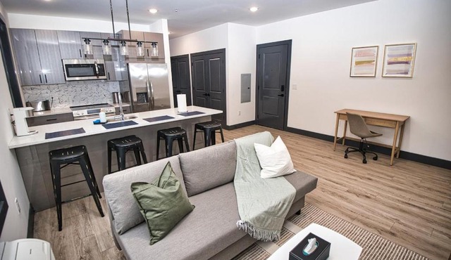 Luxurious and Spacious Apt with Parking 20 min to NYC