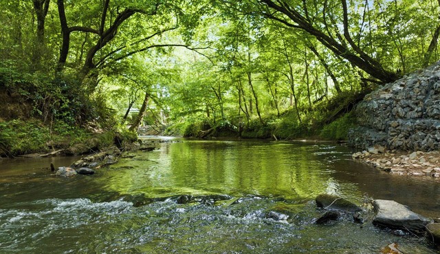 Mobile Booking Special! Creekside-Private-Games-Firepit
