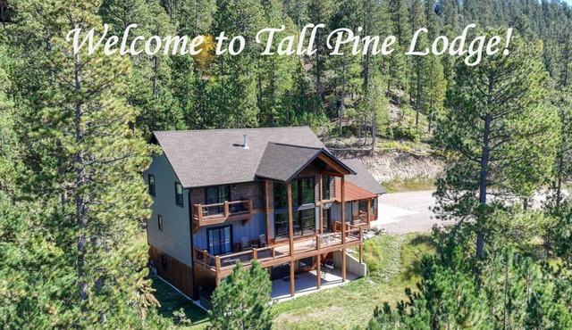 Modern Mountain Lodge - 5 Bedrooms - Near Lead/Deadwood - Amazing Views!
