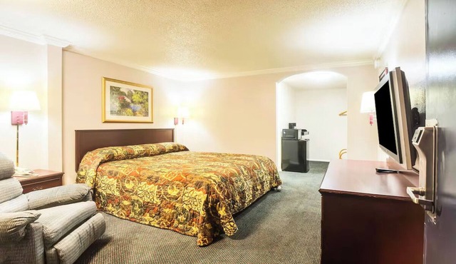 Nature & Urban Escape, Free Parking, Close to Botanical Gardens & Hiking Trails