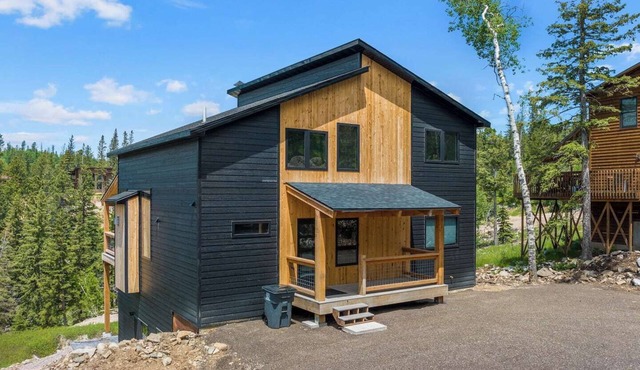 New modern Scandinavian mountain home