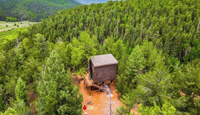Off-Grid Tiny House Treehouse, re-live your childhood fantasy and dream! in Divide