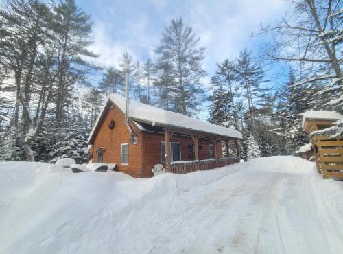Ohana cabin