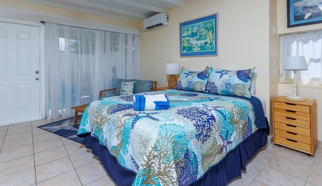 Pineapple Parrot, Apartment in Saint Thomas