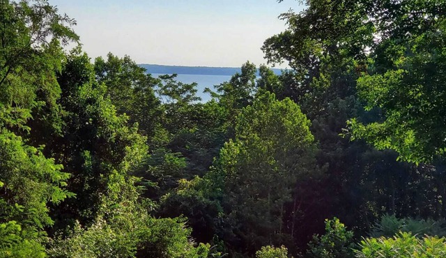 Potomac River View