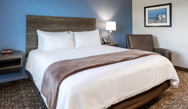 Quiet & Comfortable Room Ideal for Business or Leisure Travelers - Pet-Friendly!