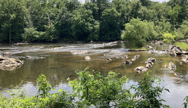 Restful River Retreat- Walk to River/Kayak-put in