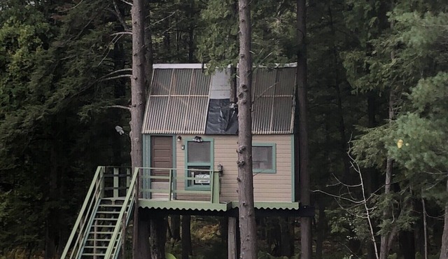 Rustic Treehouse on fabulous private boating, fishing and swimming lake
