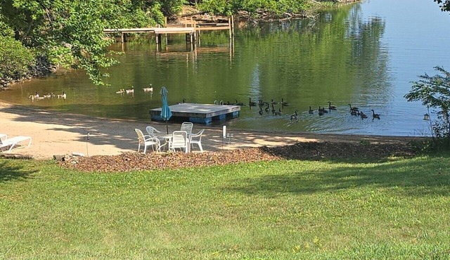 Sandy Cove- Private Sand Beach, Waterfront, Centrally Located