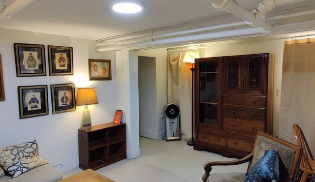 Scott House in Woodlawn - Basement