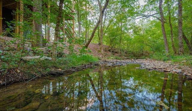 SERENE ON THE STREAM is a modern luxury cabin that overlooks a soothing, flowing