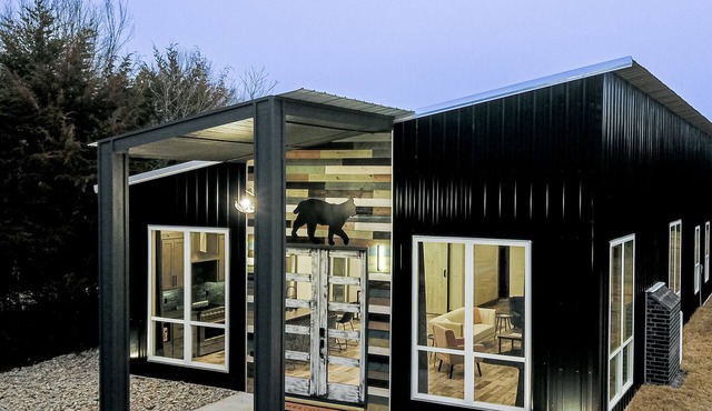 South of Norman, Cougar Cabin with Air Hockey, Fireplace