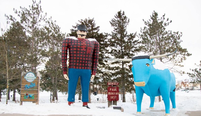 Spacious Corner Walnut Home