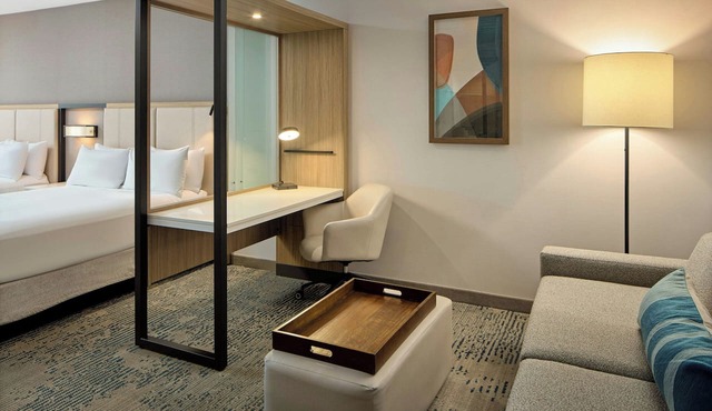 Springhill Suites By Marriott High Point Downtown
